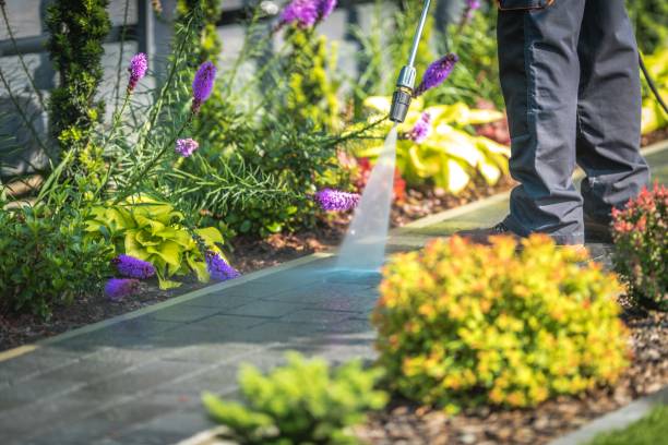 Best Pool Deck Cleaning in Montrose, VA